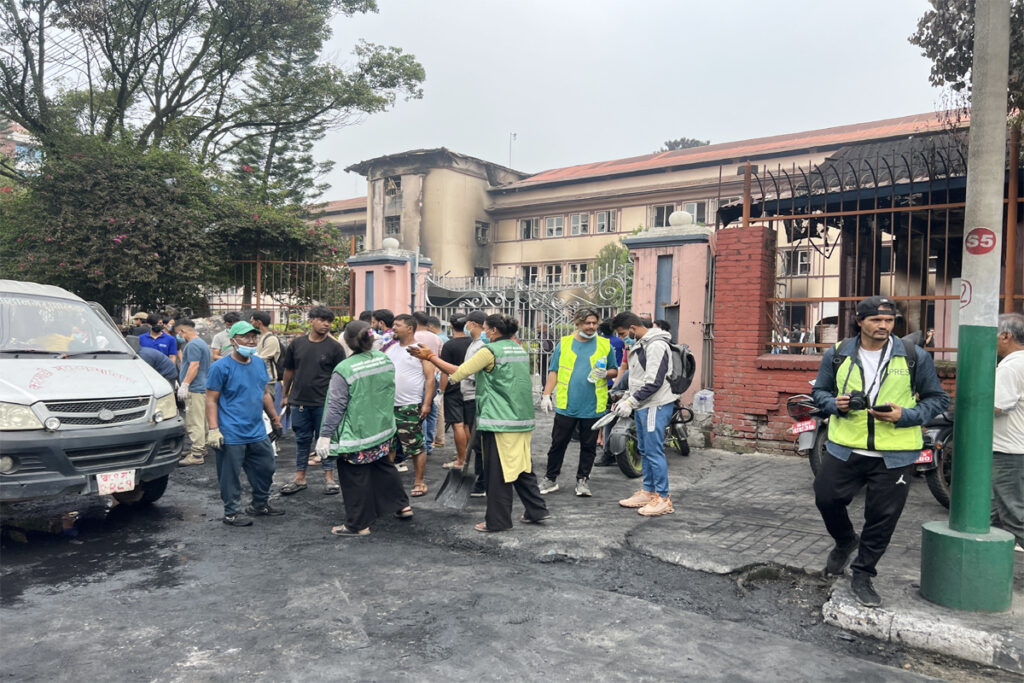 सरसफाइमा ‘जेनजी’