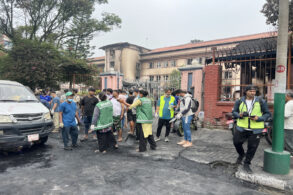 सरसफाइमा ‘जेनजी’