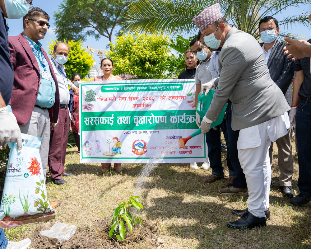 निजामती सेवा दिवसका अवसरमा वृक्षरोपण