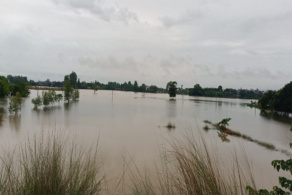 विपद्का घटनाबाट देशभर ४० जनाको मृत्यु, ११ बेपत्ता