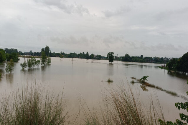 विपद्का घटनाबाट देशभर ४० जनाको मृत्यु, ११ बेपत्ता
